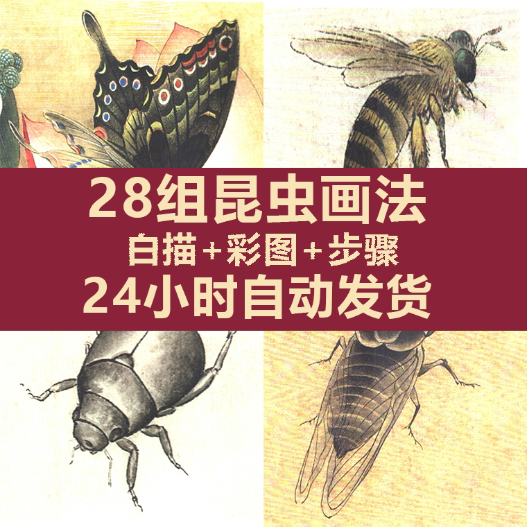 昆虫 工笔画白描底稿国画花鸟步骤技法打印学习临摹高清电子版