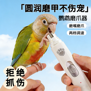 鹦鹉磨爪器电动磨嘴器指甲剪磨啄站杆牡丹虎皮小鸟清洁宠物专用品