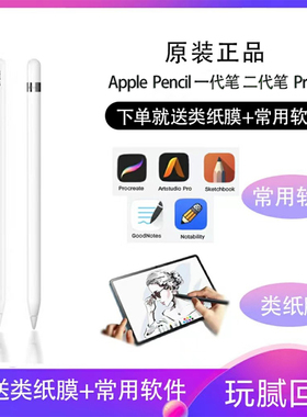 苹果Apple Pencil一代二代pencil pro原装正品手写笔(USB-C)压感
