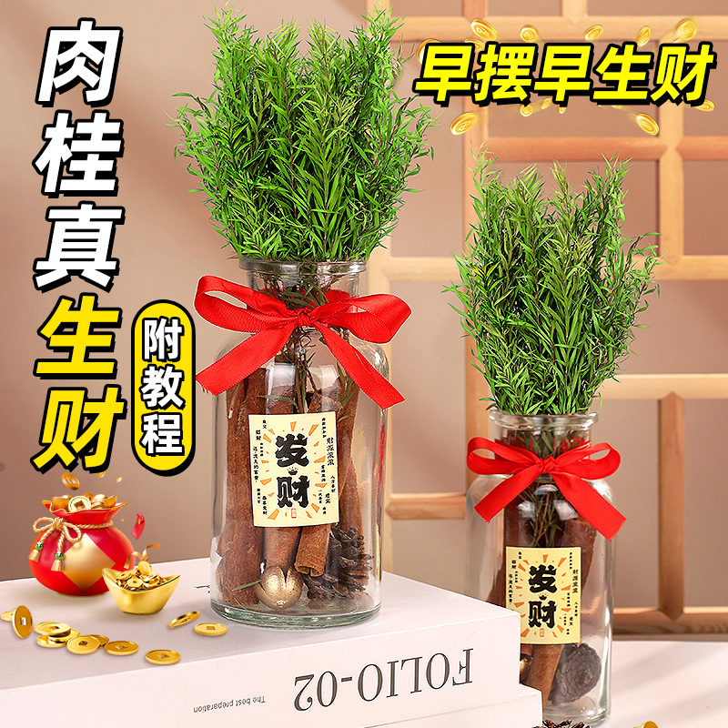 肉桂生财招财聚财摆件ins风礼物