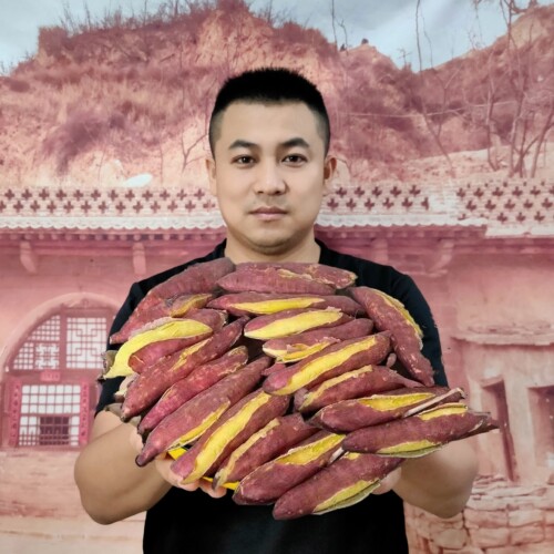 【11年爆款】陕西临潼板栗红薯正宗农家红薯沙地红苕番薯地瓜粉糯