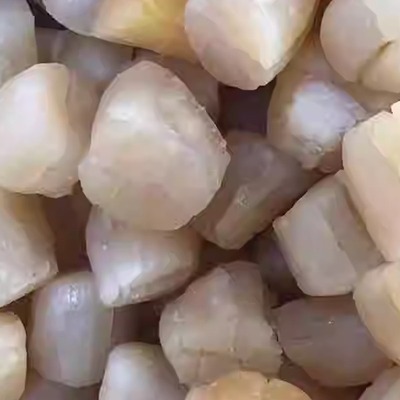 无沙淡干贝肉瑶柱海鲜水产