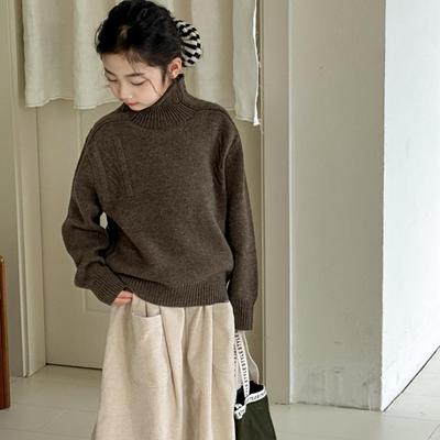 羊毛衫秋冬季保暖半高领套头