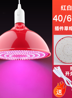 厂家直销LED红白光超亮无频闪大功率红黄光红暖光节能照明吊灯泡