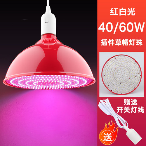 厂家直销LED红白光超亮节能灯泡