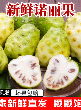 鲜果新鲜海南特产当季酵素原料