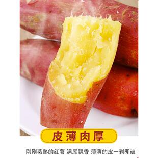 正宗陕西临潼板栗红薯农家自种新鲜番薯地瓜沙地板栗薯蜜薯小香薯