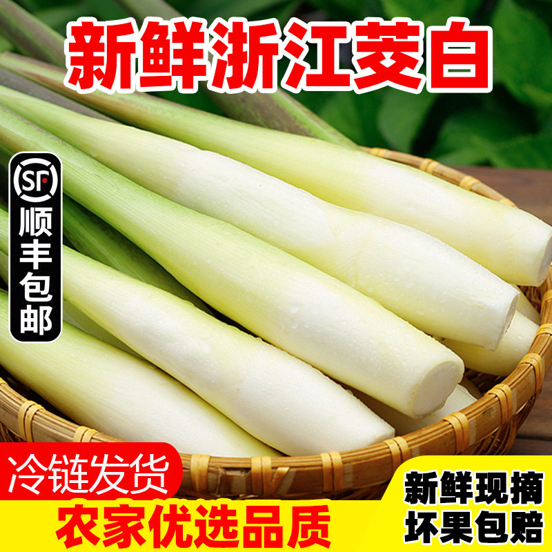 顺丰浙江茭白新鲜现摘5斤农家自种高山茭白笋蔬菜高笋茭儿茭瓜