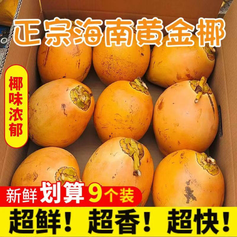 海南万宁黄金椰子新鲜大果黄皮椰青孕妇水果特产当季整箱产地直发,水产肉类/新鲜蔬果/熟食,椰青,淘宝优惠券,粉丝福利购,淘宝优惠卷