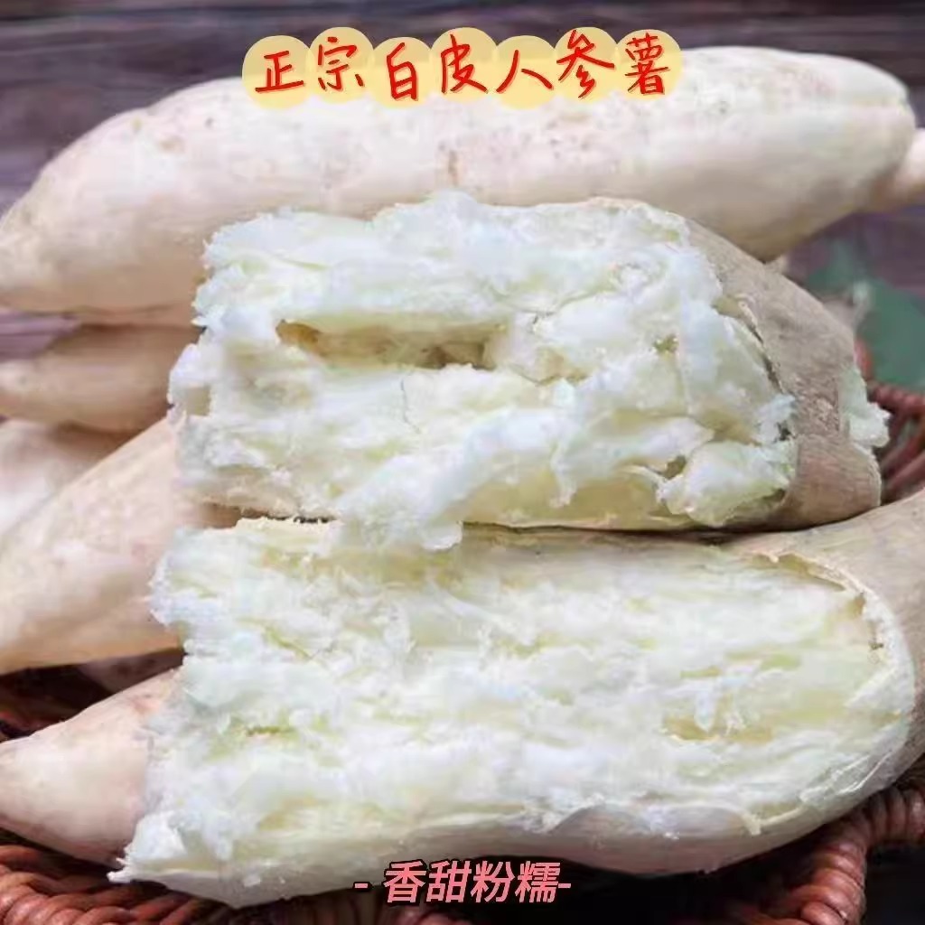 正宗白皮人参薯新鲜粉面番薯5斤牛奶白心地瓜白瓤沙地板栗红薯