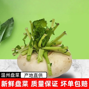 温州盘菜现摘农家新鲜盘菜头 扁萝卜大头菜盘菜5斤装玉环干江特产