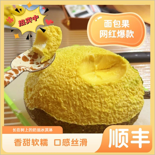 顺丰面包果煎炸食用网红水果爆款面包果新鲜现摘小众无籽热带水果