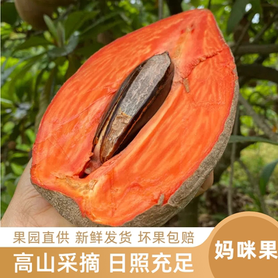 【顺丰包邮】新鲜妈咪果热带稀有水果古巴神仙果回味香甜新鲜水果