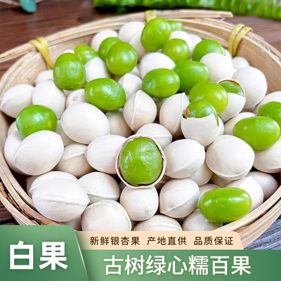 新货绿芯白果新鲜银杏果仁带壳生白果零食特产古树软糯香甜