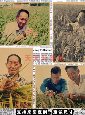复古是袁隆平海报杂交水稻之父