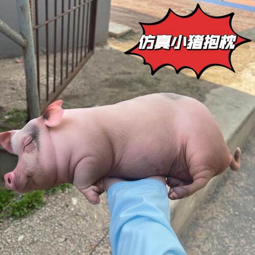 仿真毛绒小猪抱枕夹腿长条公仔