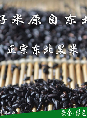 黑香米农家黑米东北特产黑米