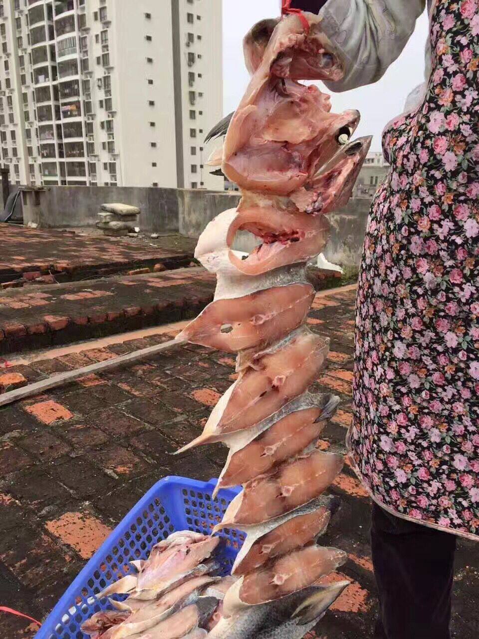 湛江特产野生新鲜海鱼大马友鱼海鲜水产冷冻鱼冰鲜鱼海产品 500g