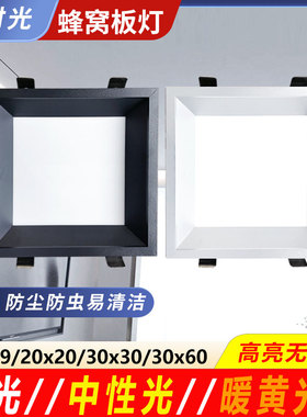 蜂窝大板灯LED方形筒灯石膏板顶灯19x19弹簧卡扣式20x20嵌入30x60