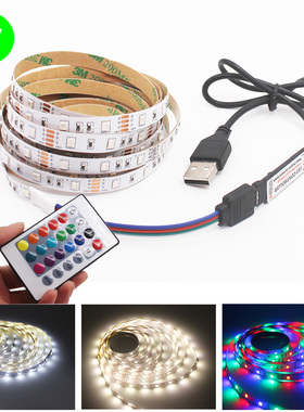 RGB Glowing Cable LED Remote Control USB Decoration Lights