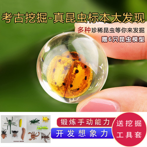 儿童寻宝玩具昆虫标本琥珀考古