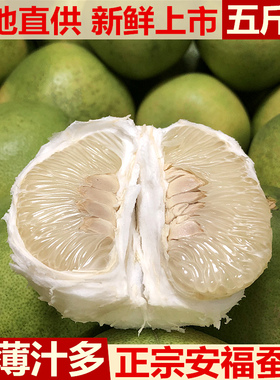 正宗安福柚子江西特产萍乡蚕子土柚子井冈蜜柚横龙吉安金兰柚5斤