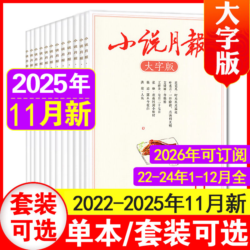 小说月报大字版正版现货