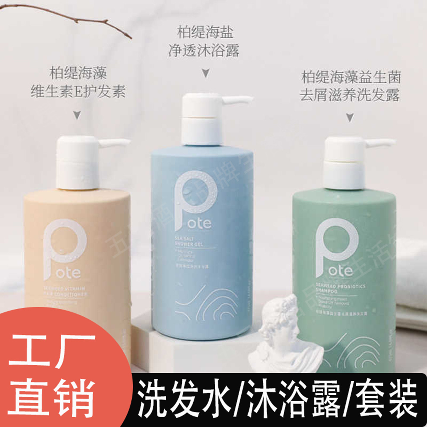 【艾米推荐】pote柏缇控油蓬松洗发水持久留香氨基酸止痒沐浴露
