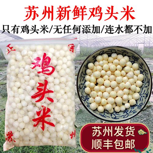 正宗苏州产新鲜鸡头米顺丰包邮