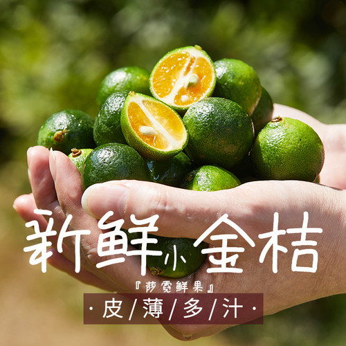 大个青金桔新鲜小青桔5斤海南小金桔大果皮薄多汁柠檬果新鲜包邮