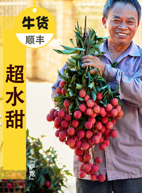 荔枝仙进奉超鲜美荔枝新鲜桂-味-妃-子-笑现摘现发高品质王空运