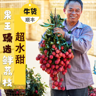 荔枝新鲜妃子笑超大荔枝果王现摘现发大果白糖婴高品质空运可礼盒