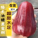 蓮霧黑金剛特大果海南三亞蓮霧果新鮮水果泰國紅寶石臺灣牛奶蓮霧