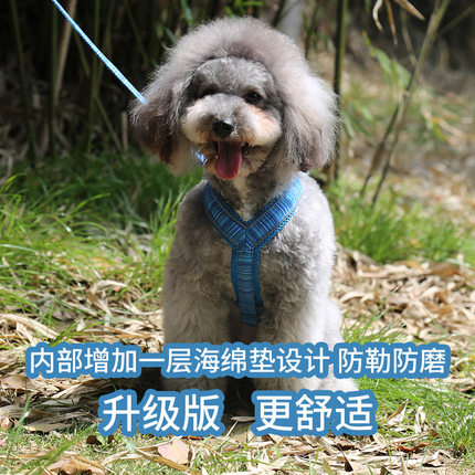比熊狗绳MayChan项圈小型犬牵引绳斗牛犬泰迪柴犬可调节网红胸背