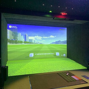 高尔夫尊NX模拟器全球上门安装 室内设备高速摄像4K激光高清3D画面