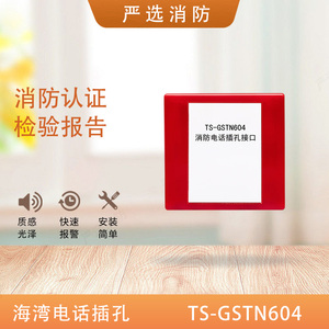 海湾电话接口604TS-GSTN604