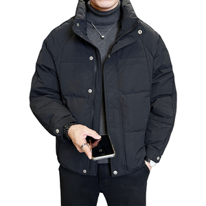 冬季店主风新款立领标羽绒服男 短款保暖羽绒外套YR25101-P198图片