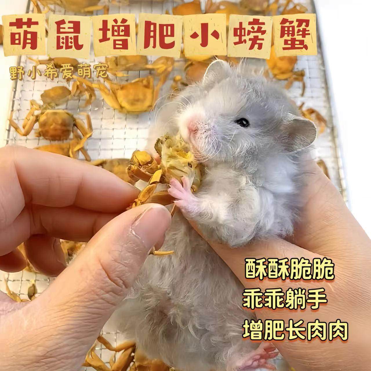 鲜烘焙仓鼠零食烘干小螃蟹磨牙补钙海鲜营养丰富金丝熊花枝鼠粮食图片