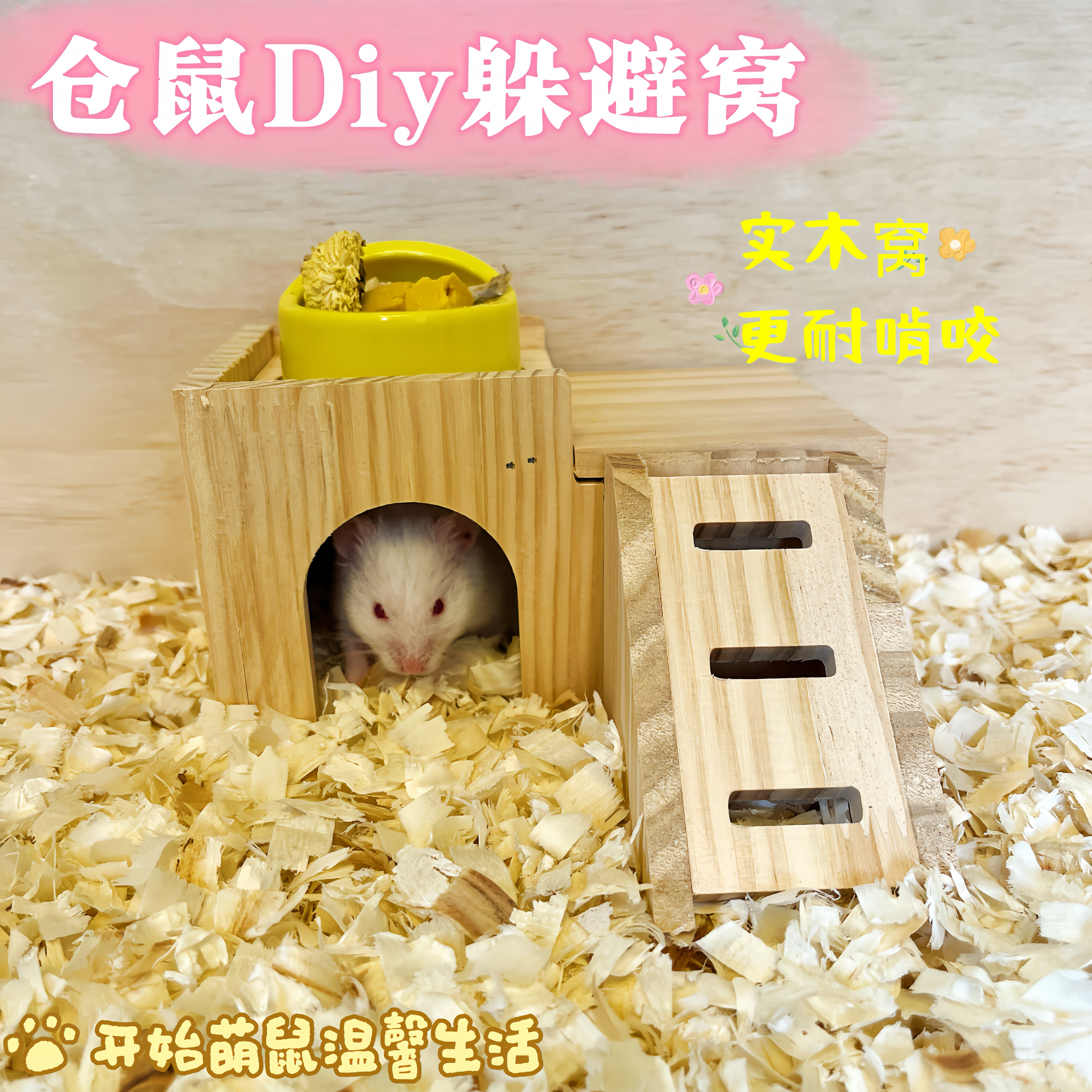 Diy仓鼠木屋金丝熊松鼠窝荷兰猪花枝鼠实木躲避屋刺猬芦丁鸡房子