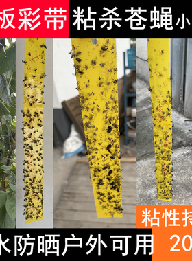 粘蝇纸彩带苍蝇贴条药悬挂式抓捕去除驱赶苍蝇神器家用养殖场塑料