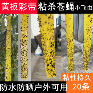 抓捕去除驱赶苍蝇神器家用养殖场塑料 粘蝇纸彩带苍蝇贴条药悬挂式