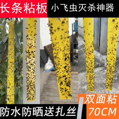 长粘虫板黄板双面粘苍蝇贴条果实蝇诱捕器小飞虫灭杀神器果园大棚