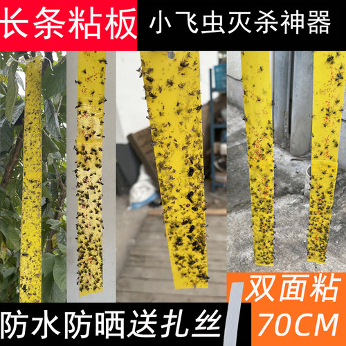 长粘虫板黄板双面粘苍蝇贴条果实蝇诱捕器小飞虫灭杀神器果园大棚