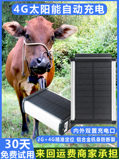 牛羊追踪神器gps山区放牧专用卫星订位器马狗动物防水防丢定位器
