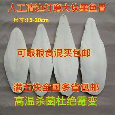 墨鱼骨活体补钙鸟食饲料鹦鹉包邮