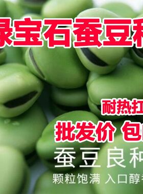 蚕豆种子农家菜园罗汉豆种籽秋冬季播种早熟耐寒胡豆籽种蔬菜种子