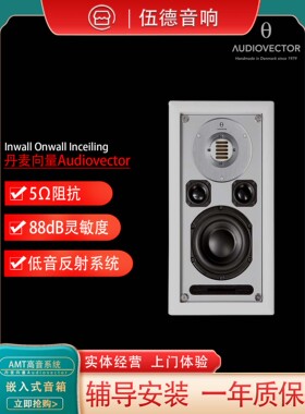 丹麦Audiovector傲力R系列极点前卫前面壁挂嵌入吸顶音箱*单只