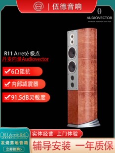 国行 Arreté 发烧落地音箱 极点 丹麦向量Audiovector R11