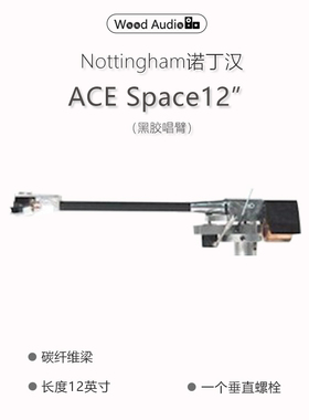 英国诺丁汉/Nottingham Analogue 唱臂 ACE SPACE 12*