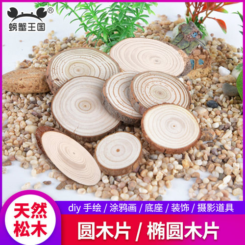 螃蟹王国模型材料diy手工